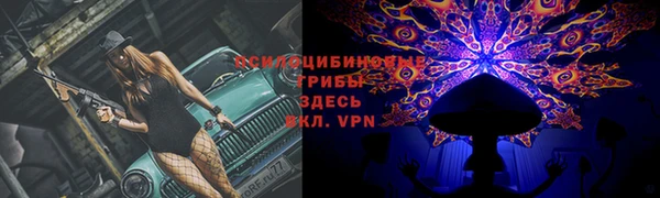 ГАЛЛЮЦИНОГЕННЫЕ ГРИБЫ Богородск